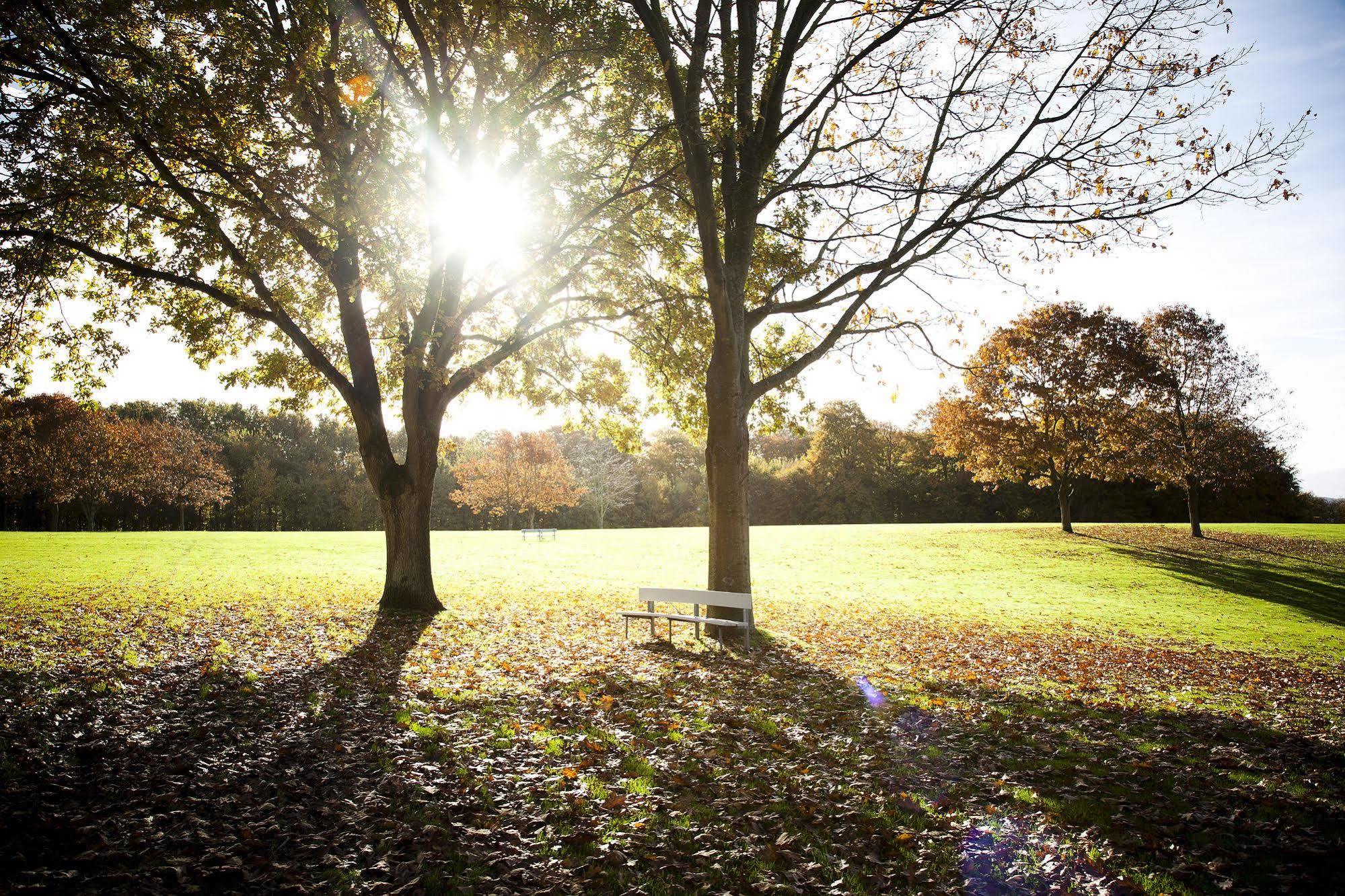 Skanderborg Park Zewnętrze zdjęcie